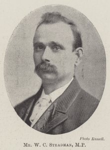 Mr W C Steadman, MP av English Photographer