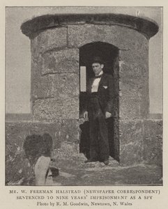W Freeman Halstead (aviskorrespondent) dømt til ni års fengsel som spion av English Photographer