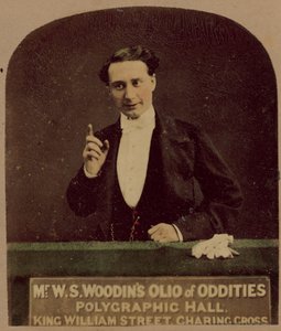 Mr WS Woodins Olio fra Oddities