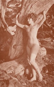  av English Photographer