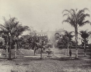 Palmer og fontene, Botanisk hage, Brisbane av English Photographer