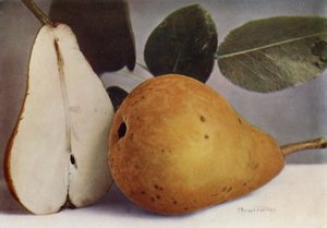 Pære, Durondeau (fargefoto) av English Photographer