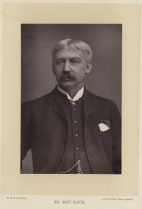 Portrett av Bret Harte av English Photographer