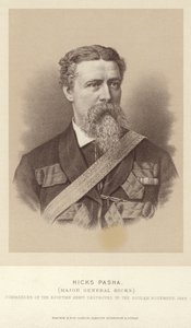 Portrett av oberst William Hicks av English Photographer