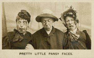 Hübsche kleine Stiefmütterchen-Gesichter von English Photographer