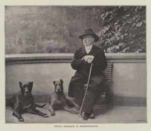 Prins Bismarck ved Friedrichsruh av English Photographer