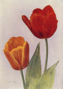 Prinsen av Østerrike og Fred Moore (fargefoto) av English Photographer