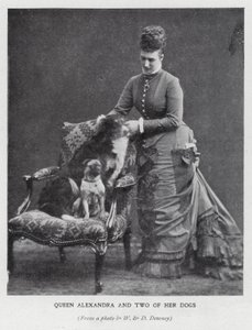 Dronning Alexandra og to av hundene hennes (s/hvitt bilde) av English Photographer