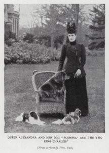 Dronning Alexandra med hunden sin, Plumpie, og hennes to King Charles spaniels (s/hvitt bilde) av English Photographer