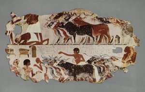 Scene som representerer kjøringen av en stor flokk med storfe, for lagerformål, på en egyptisk gård (bilde) av English Photographer