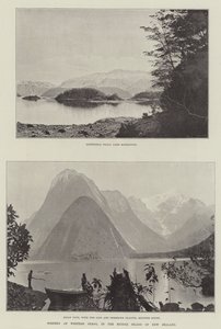 Naturen i Western Otago, på Midtøya på New Zealand