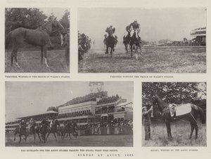 Scener ved Ascot, 1901 av English Photographer