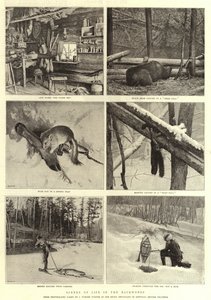 Scener of Life in the Backwoods