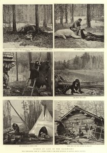 Scener of Life in the Backwoods