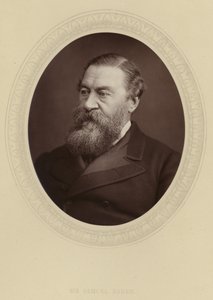 Sir Samuel Baker av English Photographer