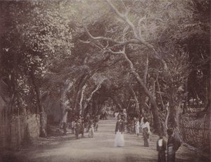 Skinners Road, Colombo (farget bilde) av English Photographer