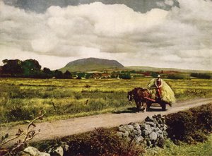 Slemish, County Antrim (fargefoto) av English Photographer