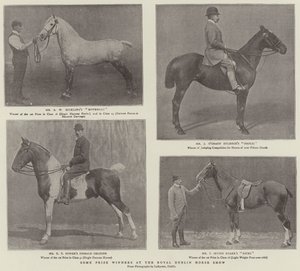 Noen prisvinnere på Royal Dublin Horse Show av English Photographer