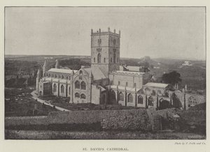 St Davids katedral av English Photographer