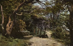 Stone Seat, the Landslip av English Photographer