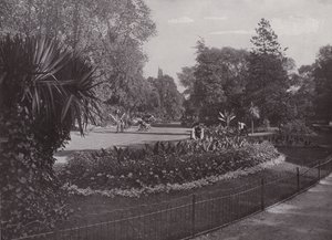 Sub-tropiske hager, Battersea Park av English Photographer