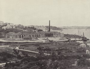 Sunlight Soap Companys Works, nær Sydney av English Photographer