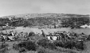 Suvla Bay, Gallipoli ved Chocolate Hill, ca. 1915 av English Photographer