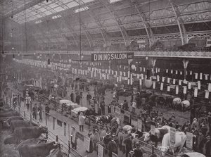 The Cattle Show, Royal Agricultural Hall av English Photographer