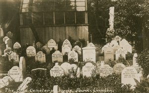The Dogs Cemetery, Hyde Park, London av English Photographer