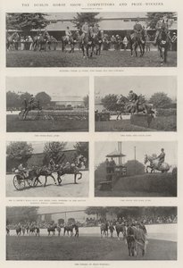 Dublin Horse Show, konkurrenter og prisvinnere