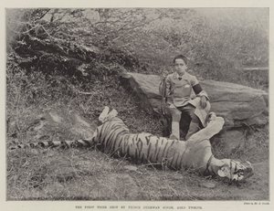 The First Tiger skutt av Prince Bughwan Singh, tolv år gammel av English Photographer