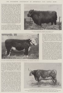 Hundreårsjubileet for Smithfield Club Cattle Show