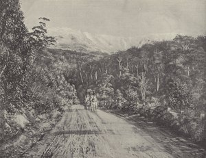 Huon-veien av English Photographer