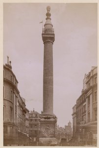 Monumentet, London av English Photographer