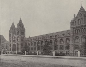 Naturhistorisk museum (s/h-bilde) av English Photographer
