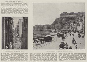 Plukkøksen i Napoli av English Photographer