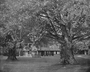 Dronningens te-rom på Frogmore (s/hvitt bilde) av English Photographer