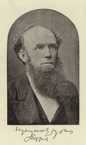 Rev J Clifford, DD av English Photographer