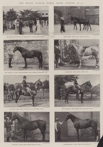 The Royal Dublin Horse Show, 26.-29. august
