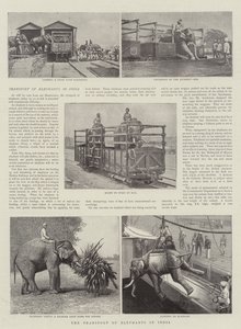 Transporten av elefanter i India