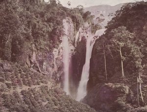 The Twin Falls (kaffe vokser i forgrunnen), Ceylon (farget bilde) av English Photographer