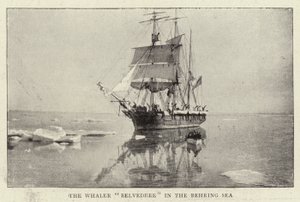 Hvalfangeren Belvedere i Beringhavet av English Photographer