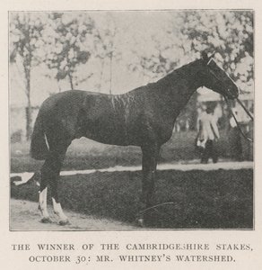 Vinneren av Cambridgeshire Stakes, 30. oktober, Mr Whitneys Watershed av English Photographer