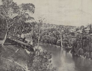 Yarra i Studley Park av English Photographer