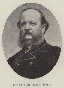 Avdøde herr Joseph Wolf av English Photographer