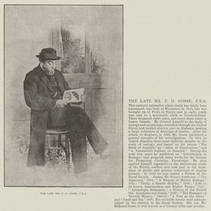 Avdøde hr. P H Gosse, FRS av English Photographer
