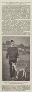 Tommy, Pet Deer fra 4. Bataljon Worcestershire Regiment av English Photographer