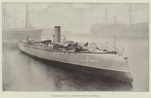 Torpedobåt nr. 79, med flåten ved Spithead av English Photographer