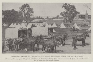 Transportvogner fra South Australian Bushmens Corps for Sør-Afrika av English Photographer