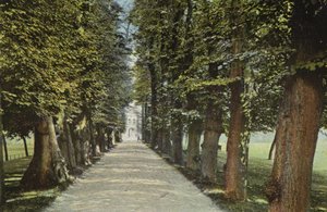 Trinity College, Avenue av English Photographer